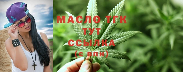 мдпв Карпинск