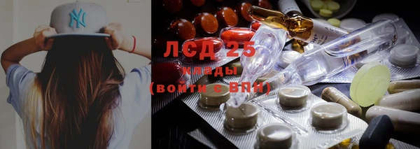 мдпв Карпинск