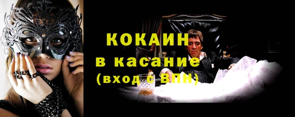 мдпв Карпинск