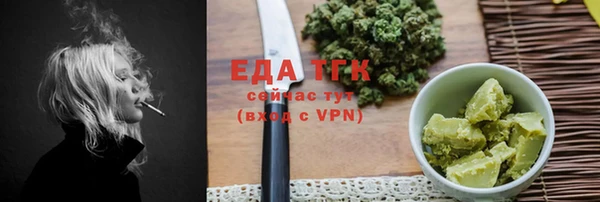 мдпв Карпинск