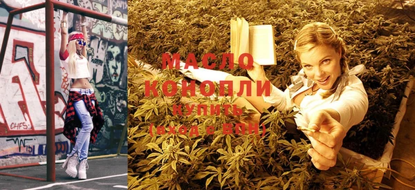 дмт Кинешма
