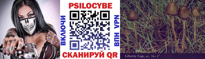 Купить закладки  Сыктывкар  Галлюциногенные грибы Magic Shrooms 